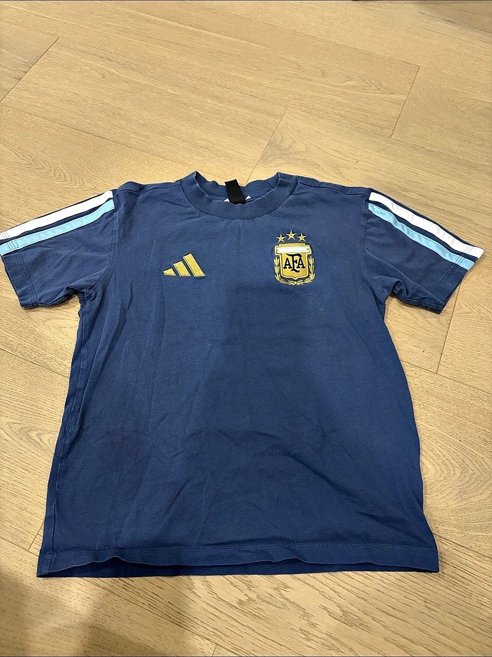 Adidas Argentina Jersey Tee Blue & White s9